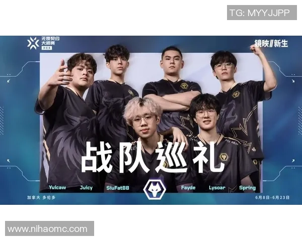 XLG战队与WOL战队的对决分析与精彩瞬间回顾