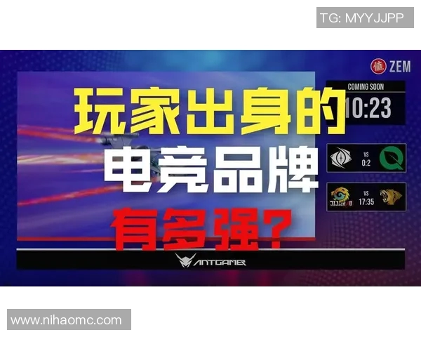 ZEM精英挑战赛创历史新高NiKo展现超凡实力引领团队奋勇争先